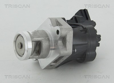 Triscan AGR-Ventil [Hersteller-Nr. 881324083] für Chevrolet, Opel, Saab von TRISCAN