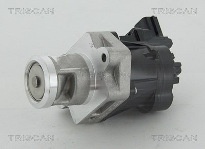 Triscan AGR-Ventil [Hersteller-Nr. 881324083] für Chevrolet, Opel, Saab, Vauxhall von TRISCAN
