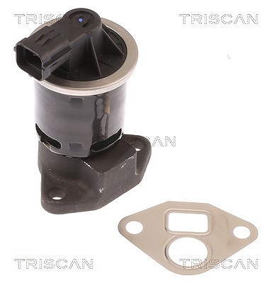 Triscan AGR-Ventil [Hersteller-Nr. 881321004] für Chevrolet, Gm Korea von TRISCAN