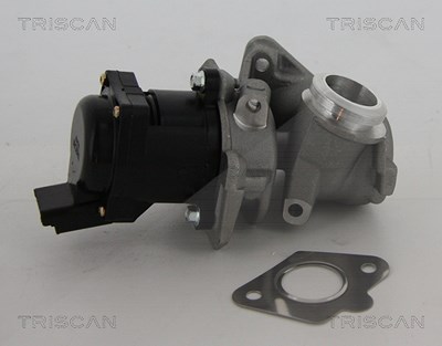 Triscan AGR-Ventil [Hersteller-Nr. 881310010] für Citroën, Fiat, Peugeot, Suzuki von TRISCAN