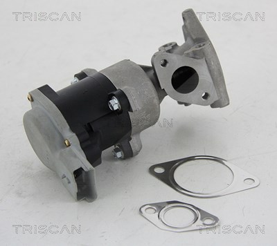 Triscan AGR-Ventil [Hersteller-Nr. 881310008] für Citroën, Jaguar, Land Rover, Peugeot von TRISCAN