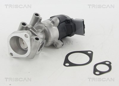 Triscan AGR-Ventil [Hersteller-Nr. 881310009] für Citroën, Jaguar, Land Rover, Peugeot von TRISCAN