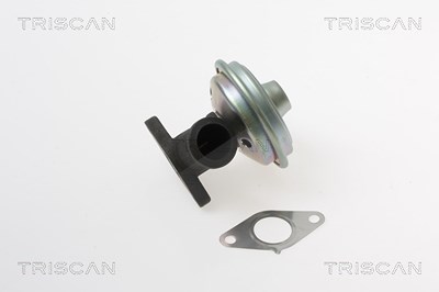 Triscan AGR-Ventil [Hersteller-Nr. 881328017] für Citroën, Peugeot von TRISCAN