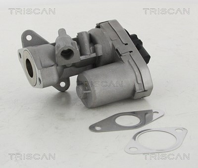 Triscan AGR-Ventil [Hersteller-Nr. 881310002] für Citroën, Fiat, Ford, Land Rover, Peugeot von TRISCAN