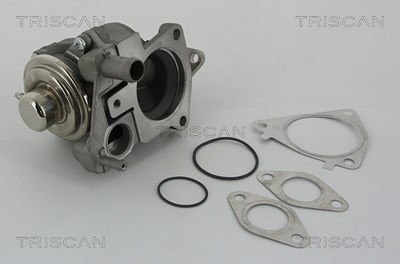 Triscan AGR-Ventil [Hersteller-Nr. 881328019] für Citroën, Fiat, Iveco, Peugeot von TRISCAN