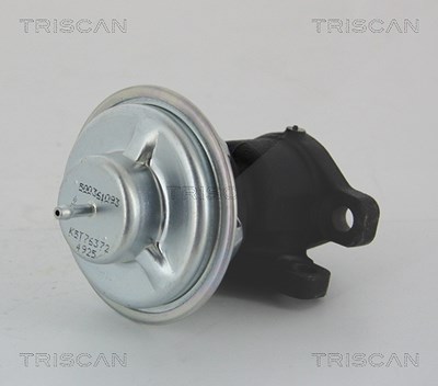 Triscan AGR-Ventil [Hersteller-Nr. 881328011] für Citroën, Fiat, Peugeot von TRISCAN
