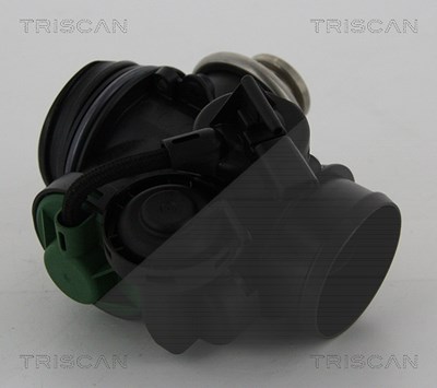 Triscan AGR-Ventil [Hersteller-Nr. 881315056] für Citroën, Fiat, Peugeot von TRISCAN