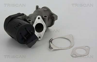 Triscan AGR-Ventil [Hersteller-Nr. 881310001] für Citroën, Fiat, Ford, Lancia, Peugeot, Volvo von TRISCAN