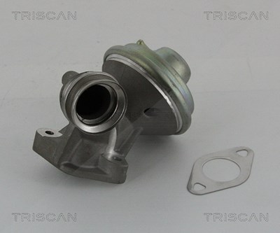 Triscan AGR-Ventil [Hersteller-Nr. 881310102] für Citroën, Ford, Peugeot von TRISCAN