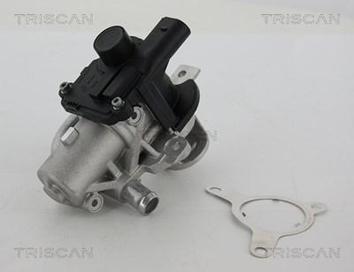 Triscan AGR-Ventil [Hersteller-Nr. 881325039] für Dacia, Nissan, Renault von TRISCAN