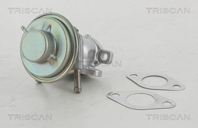Triscan AGR-Ventil [Hersteller-Nr. 881315029] für Fiat, Iveco von TRISCAN