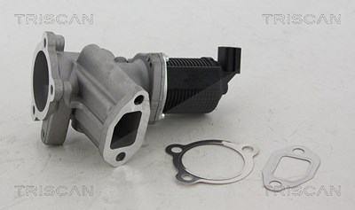 Triscan AGR-Ventil [Hersteller-Nr. 881324012] für Fiat, Lancia, Opel von TRISCAN