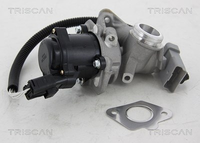 Triscan AGR-Ventil [Hersteller-Nr. 881316034] für Ford, Volvo von TRISCAN