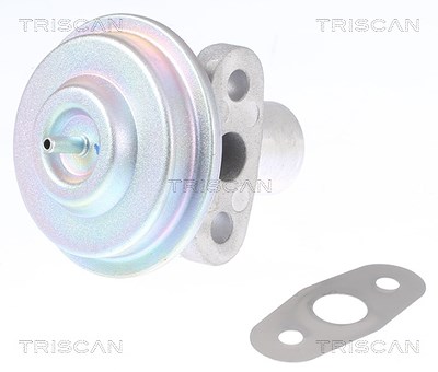 Triscan AGR-Ventil [Hersteller-Nr. 881316204] für Ford von TRISCAN