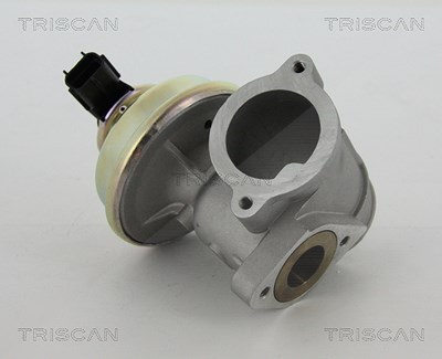 Triscan AGR-Ventil [Hersteller-Nr. 881316102] für Ford von TRISCAN
