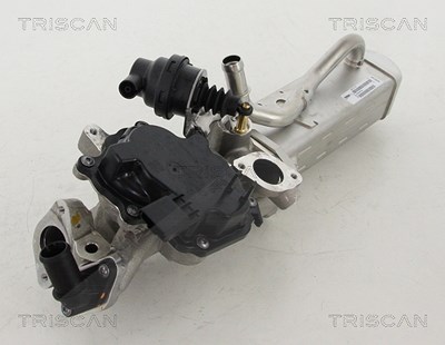 Triscan AGR-Ventil [Hersteller-Nr. 881310203] für Ford von TRISCAN