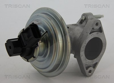 Triscan AGR-Ventil [Hersteller-Nr. 881316043] für Ford von TRISCAN