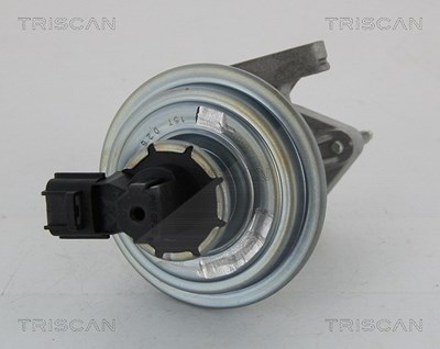 Triscan AGR-Ventil [Hersteller-Nr. 881316045] für Ford von TRISCAN