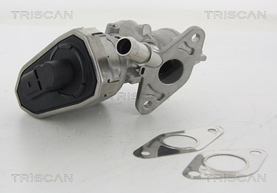 Triscan AGR-Ventil [Hersteller-Nr. 881316100] für Ford von TRISCAN