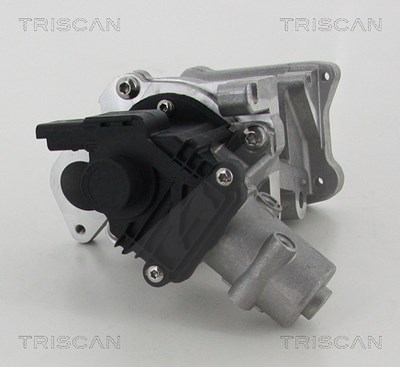 Triscan AGR-Ventil [Hersteller-Nr. 881310007] für Citroën, Ford, Land Rover, Peugeot von TRISCAN