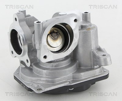 Triscan AGR-Ventil [Hersteller-Nr. 881310031] für Alfa Romeo, Fiat von TRISCAN