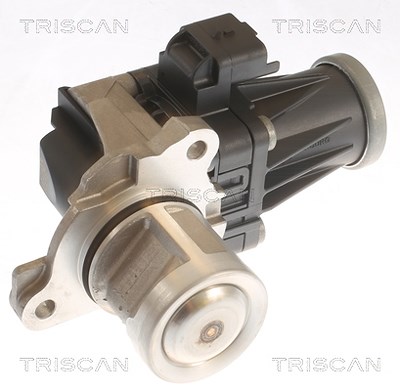 Triscan AGR-Ventil [Hersteller-Nr. 881310053] für Citroën, Ford, Peugeot, Volvo von TRISCAN