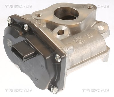 Triscan AGR-Ventil [Hersteller-Nr. 881310055] für Dacia, Mercedes-Benz, Renault von TRISCAN