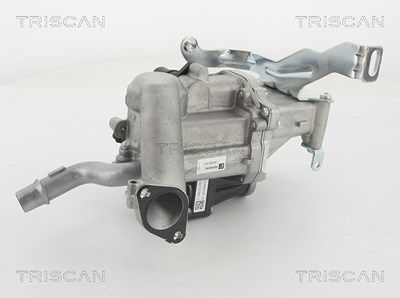 Triscan AGR-Ventil [Hersteller-Nr. 881310103] für Citroën, Peugeot, Volvo von TRISCAN