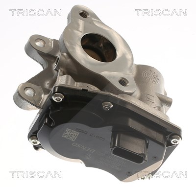 Triscan AGR-Ventil [Hersteller-Nr. 881310116] für Mercedes-Benz, Nissan, Opel, Renault, Vauxhall von TRISCAN