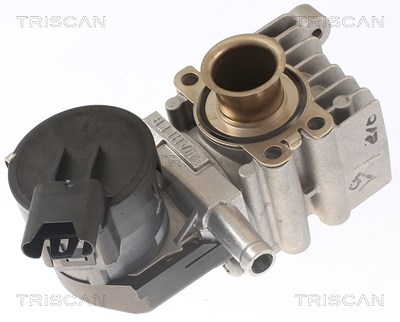Triscan AGR-Ventil [Hersteller-Nr. 881311011] für BMW von TRISCAN