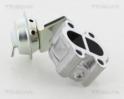 Triscan AGR-Ventil [Hersteller-Nr. 881313060] für Lexus, Toyota von TRISCAN