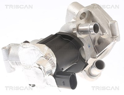 Triscan AGR-Ventil [Hersteller-Nr. 881314006] für Infiniti, Nissan von TRISCAN