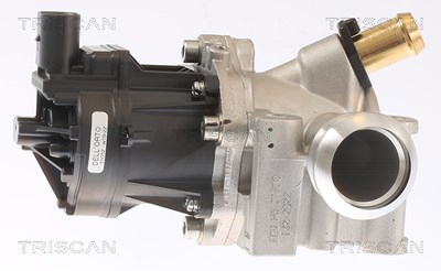 Triscan AGR-Ventil [Hersteller-Nr. 881315076] für Fiat von TRISCAN