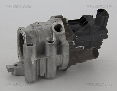 Triscan AGR-Ventil [Hersteller-Nr. 881315207] für Iveco von TRISCAN
