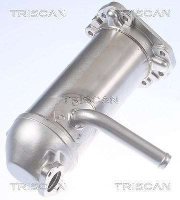 Triscan AGR-Ventil [Hersteller-Nr. 881316114] für Ford von TRISCAN