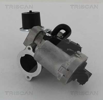 Triscan AGR-Ventil [Hersteller-Nr. 881316202] für Ford, Jaguar von TRISCAN