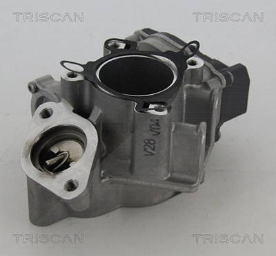 Triscan AGR-Ventil [Hersteller-Nr. 881324039] für Nissan, Opel, Renault von TRISCAN