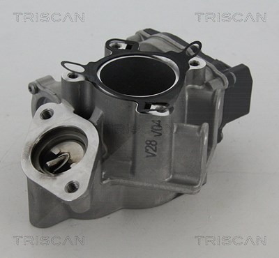 Triscan AGR-Ventil [Hersteller-Nr. 881324039] für Nissan, Opel, Renault, Vauxhall von TRISCAN