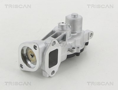 Triscan AGR-Ventil [Hersteller-Nr. 881324040] für Chevrolet, Opel von TRISCAN