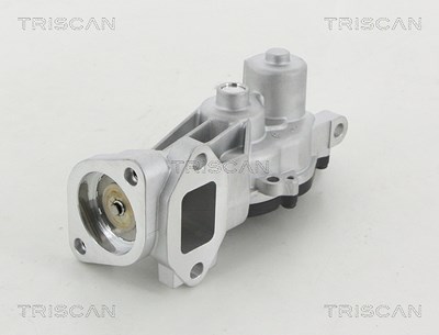 Triscan AGR-Ventil [Hersteller-Nr. 881324040] für Chevrolet, Opel, Vauxhall von TRISCAN