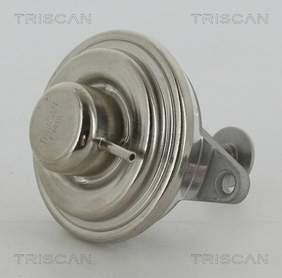Triscan AGR-Ventil [Hersteller-Nr. 881324054] für Opel, Saab, Vauxhall von TRISCAN