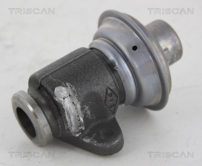Triscan AGR-Ventil [Hersteller-Nr. 881325006] für Renault von TRISCAN