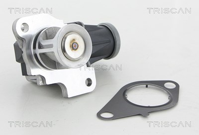 Triscan AGR-Ventil [Hersteller-Nr. 881325040] für Nissan, Renault von TRISCAN