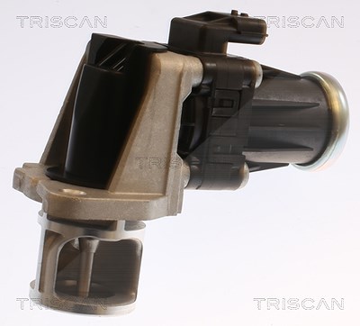 Triscan AGR-Ventil [Hersteller-Nr. 881325040] für Nissan, Renault von TRISCAN