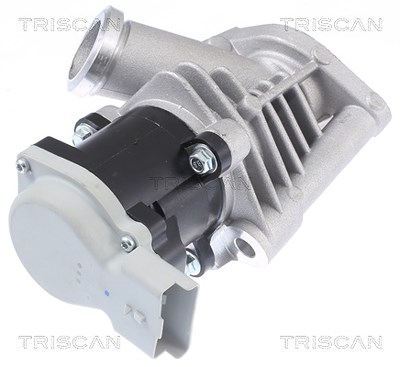Triscan AGR-Ventil [Hersteller-Nr. 881328028] für Citroën, Peugeot von TRISCAN