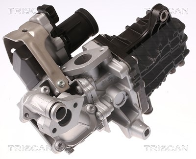 Triscan AGR-Ventil [Hersteller-Nr. 881328046] für Citroën, Ds, Ford, Ford Usa, Opel, Peugeot, Vauxhall von TRISCAN