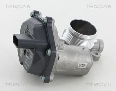 Triscan AGR-Ventil [Hersteller-Nr. 881329315] für Audi, Seat, Skoda, VW von TRISCAN