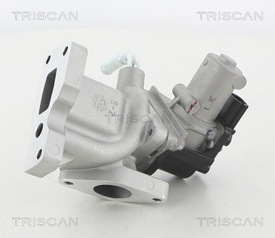 Triscan AGR-Ventil [Hersteller-Nr. 881344031] für Ssangyong von TRISCAN