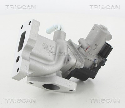 Triscan AGR-Ventil [Hersteller-Nr. 881344031] für Kg Mobility, Ssangyong von TRISCAN
