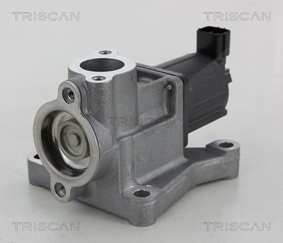 Triscan AGR-Ventil [Hersteller-Nr. 881350015] für Mazda von TRISCAN